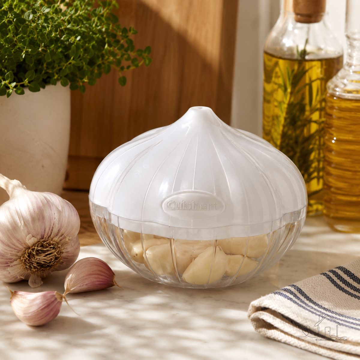 Recipiente Fresh Edge para Preservar Alho Branco Cuisinart ®